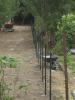 Réaménagement complet d'un jardin